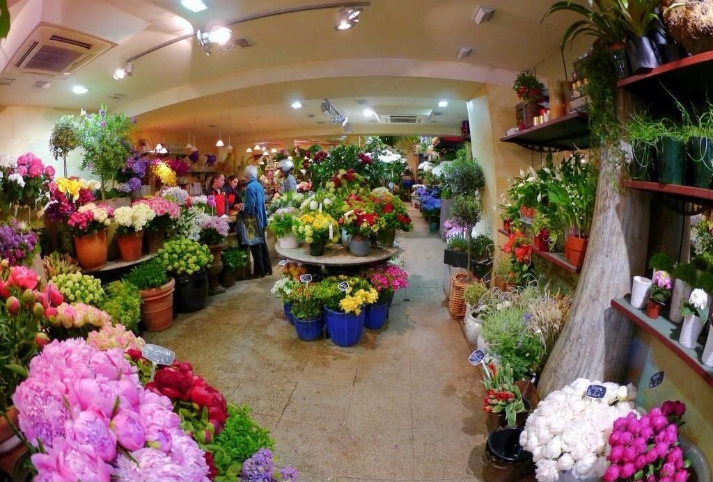 花店华球手机版app效果图